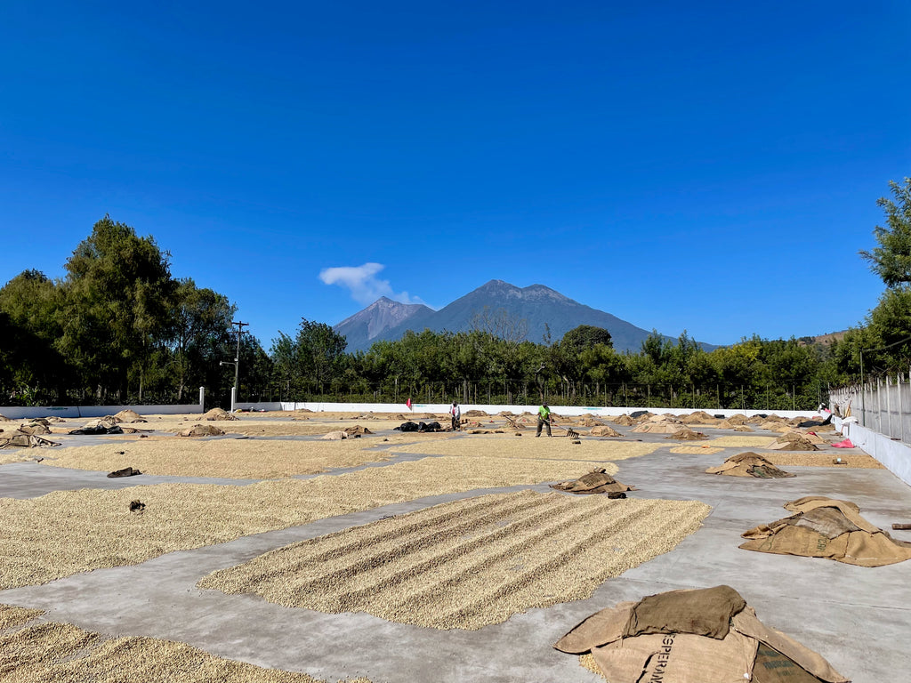 Guatemala, Feb 21st, 2022