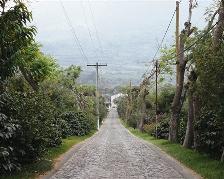 Guatemala Luis Pedro Zelaya