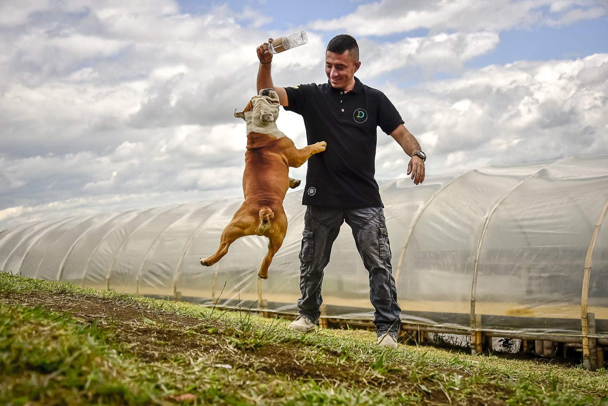 Colombia El Paraiso | Diego Samuel Bermudez | Cultivar Coffee