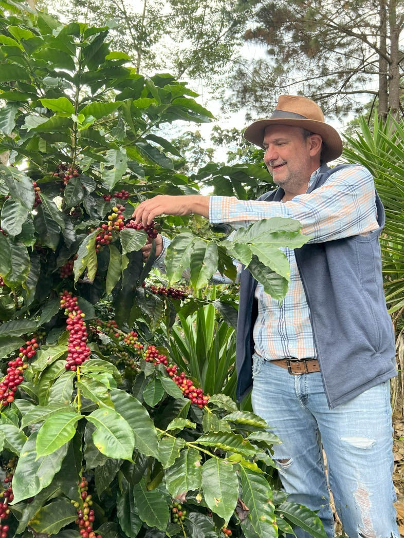 Guatemala Finca La Florida 