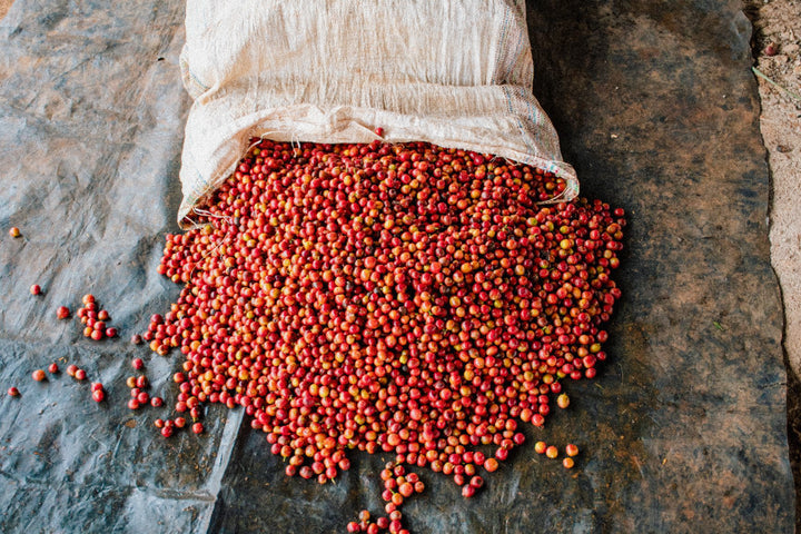 Kenya Gaturiri Nyeri