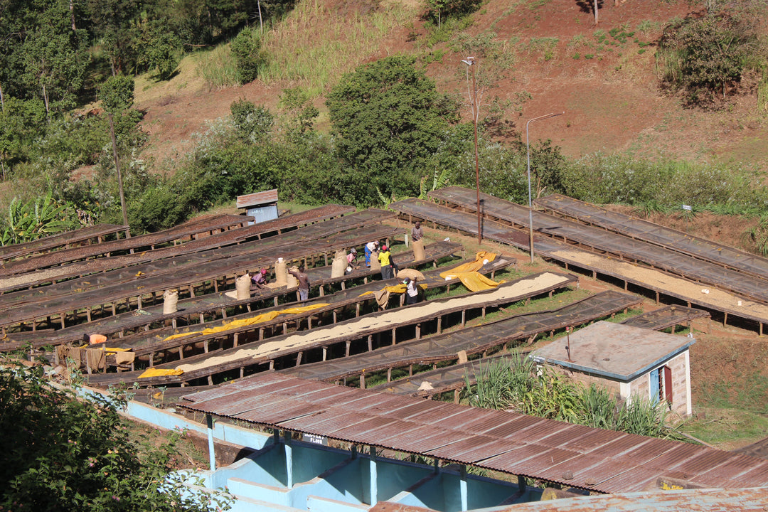 Kenya Gaturiri Nyeri