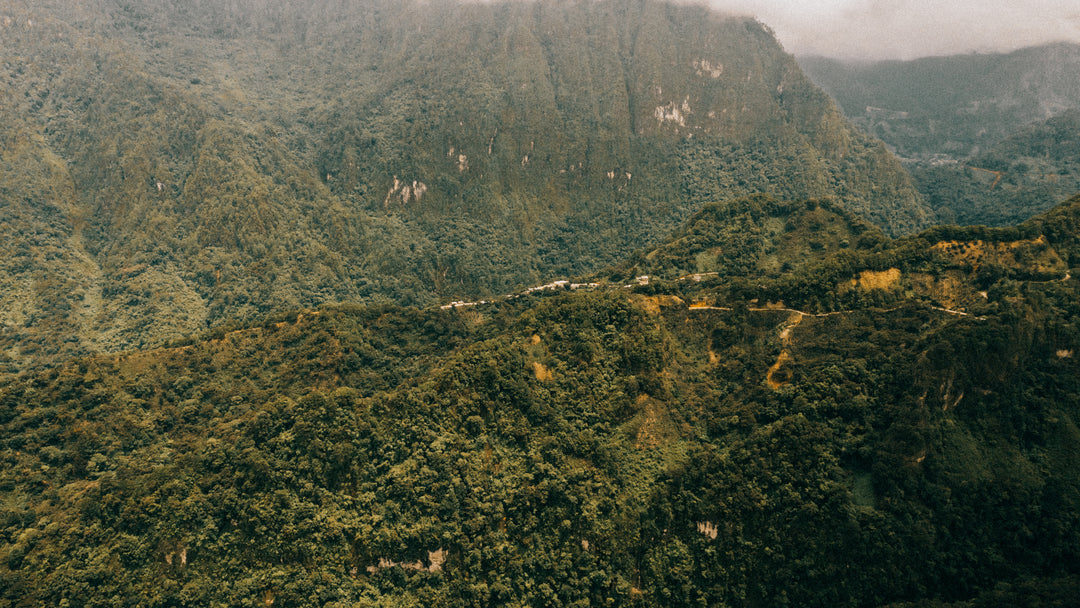 Mexico Samuel Altamirano