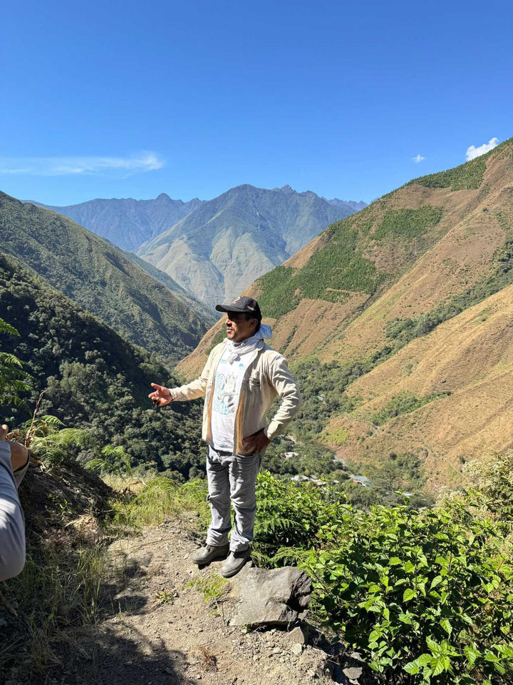 Peru Yellow Gesha